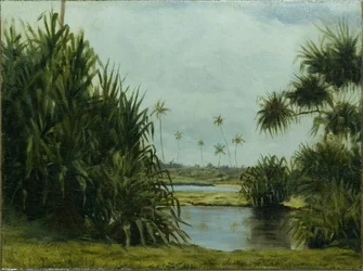 Hilo Bay